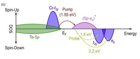 We have another paper out on femtosecond time-resolved magnetic circular dichroism (TRMCD). Erica managed to record the TRMCD spectrum of the photoexcited conduction electrons in a 2D semiconductor ferromagnet. journals.aps.org/prb/abstract/1… @EdinburghChem
