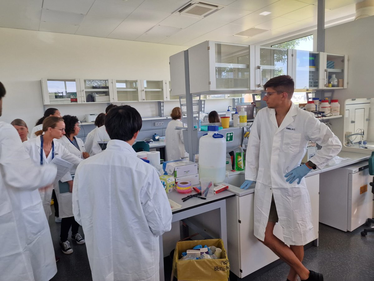EMBLEvents's tweet photo. Last day at the #EMBOSpatialOmics course in Rome. 🥳
Today we will have another round of practical sessions and data analyis exercises. 💻🔬
@SinemKSaka1, @AlvaroCrevenna and many speakers and students present techniques regarding SABER wash, imaging, ISS, RCA, PER... https://t.co/2lFWqREDEt