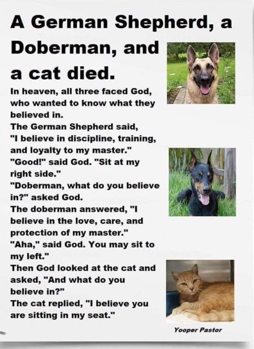 Jokerswild (@jokerswilduk) on Twitter photo 