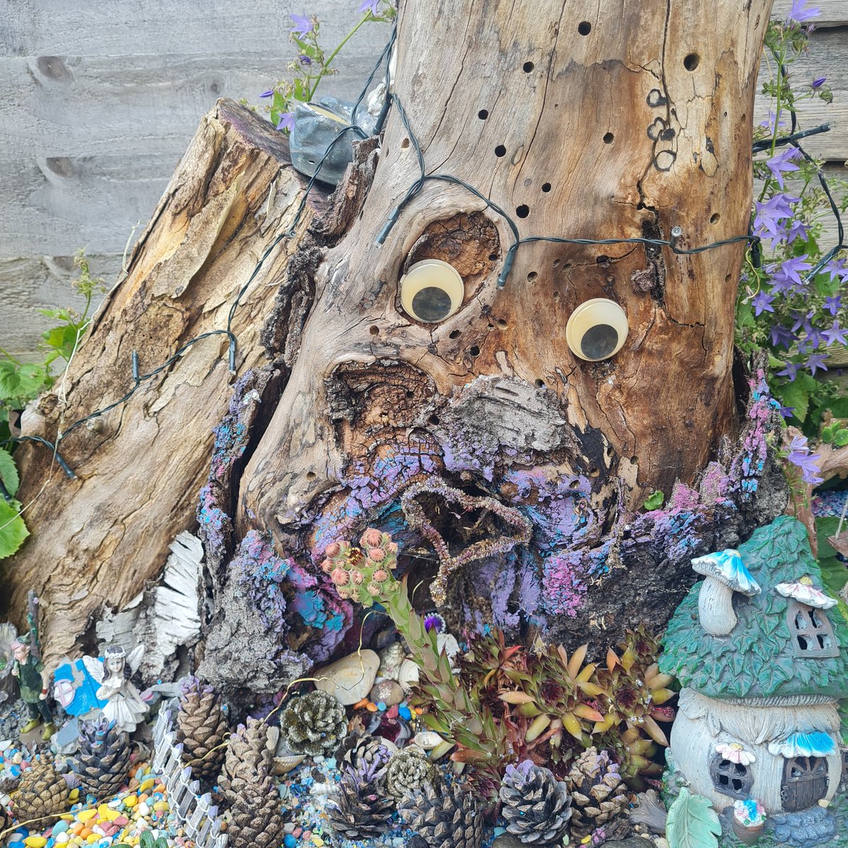 GoGoJen20's tweet photo. Morning Twitters 👋
Happy Friiiiiiiiiiiiiiiiiday to you all 🥳
#look #FlowersOfTwitter #surprisedface 😆 https://t.co/7Lj0TrhGQL