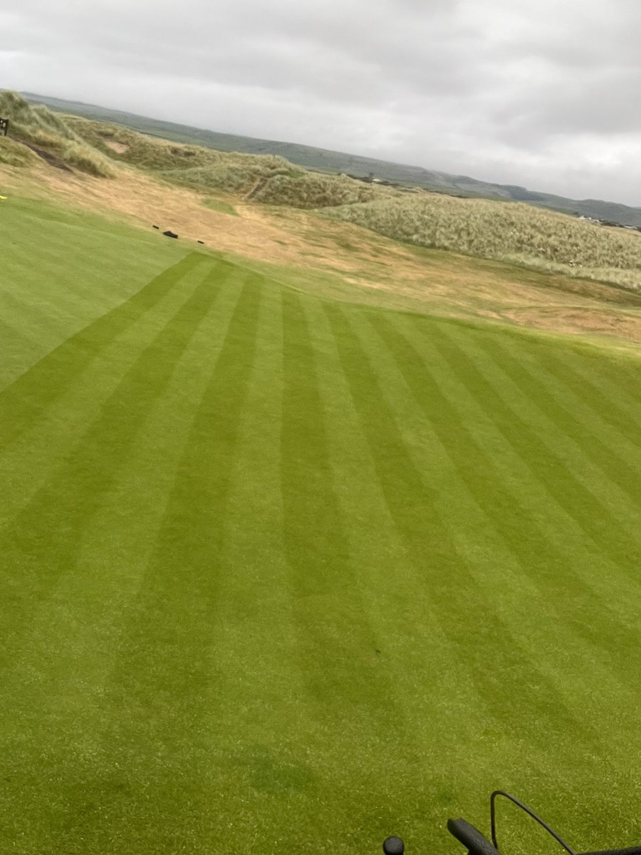 Lovely morning for a hand cut⛳️