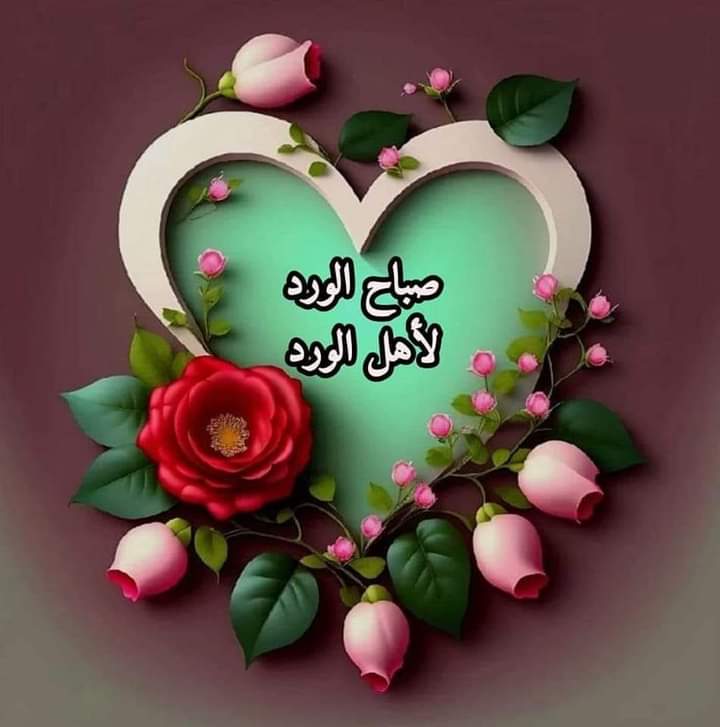 Boulahdjel Bilel tweet media