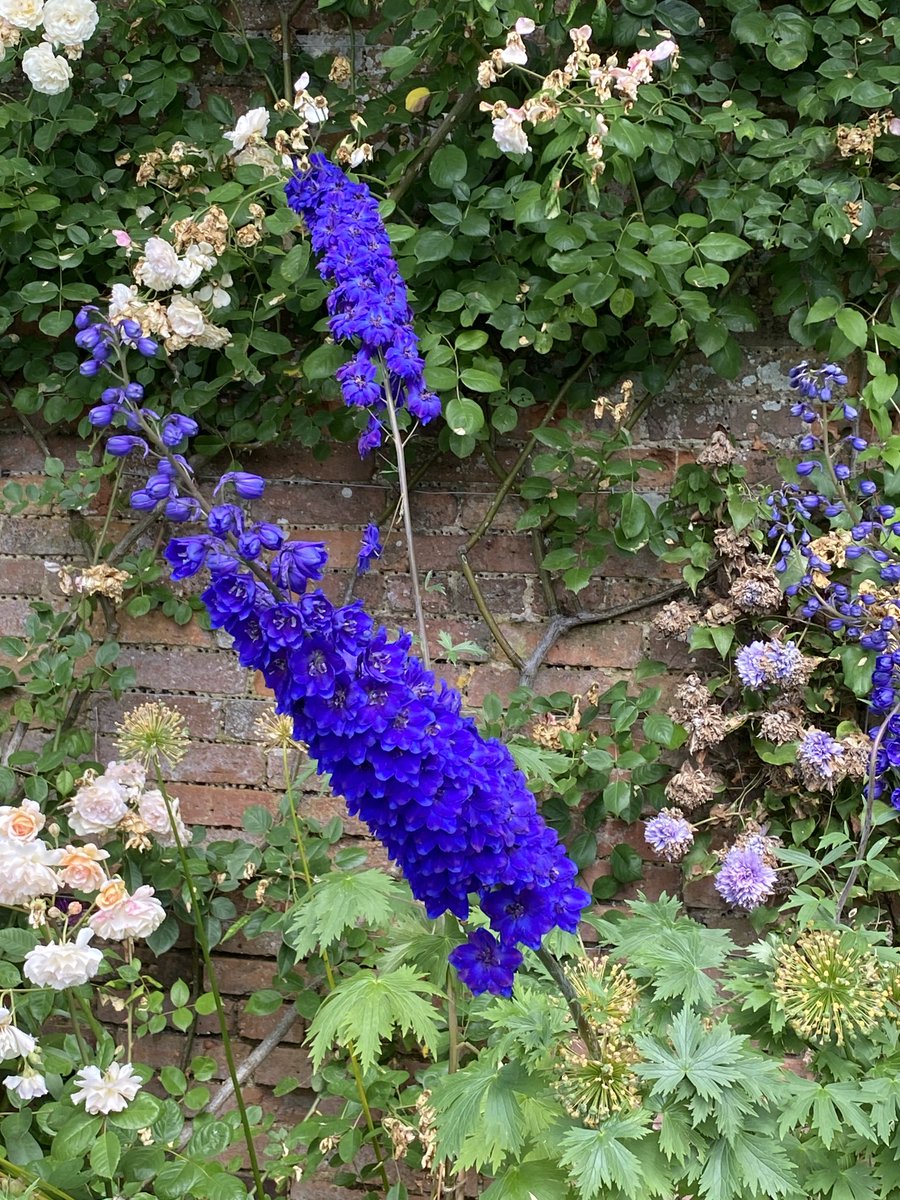 Megthelibraria1's tweet photo. What an idyllic setting for an art exhibition #Alscot #warwickshireopenstudios https://t.co/ygoUZA0RTN