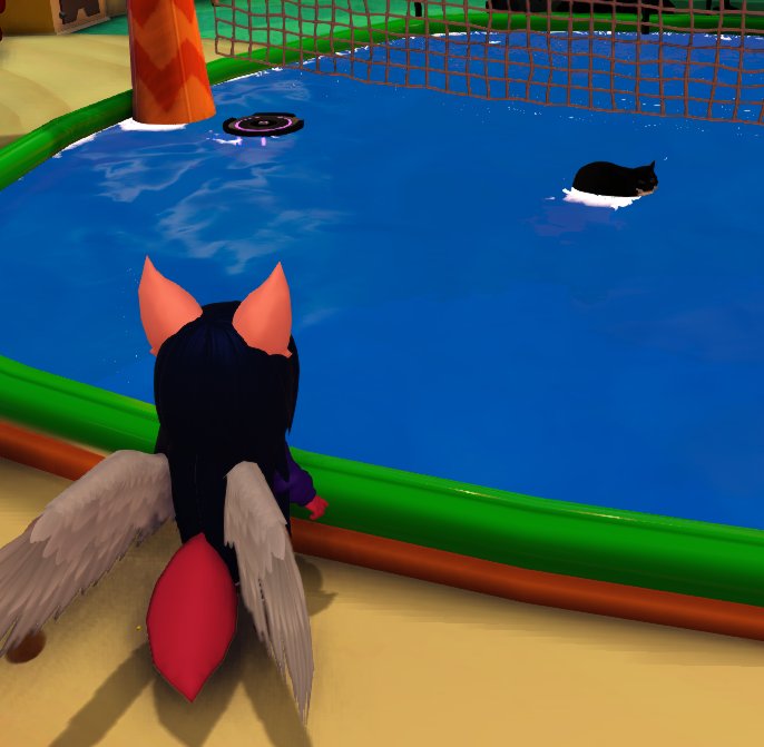 NoContextHatKid's tweet photo. who let him into the pool https://t.co/KyFjoaR5G9