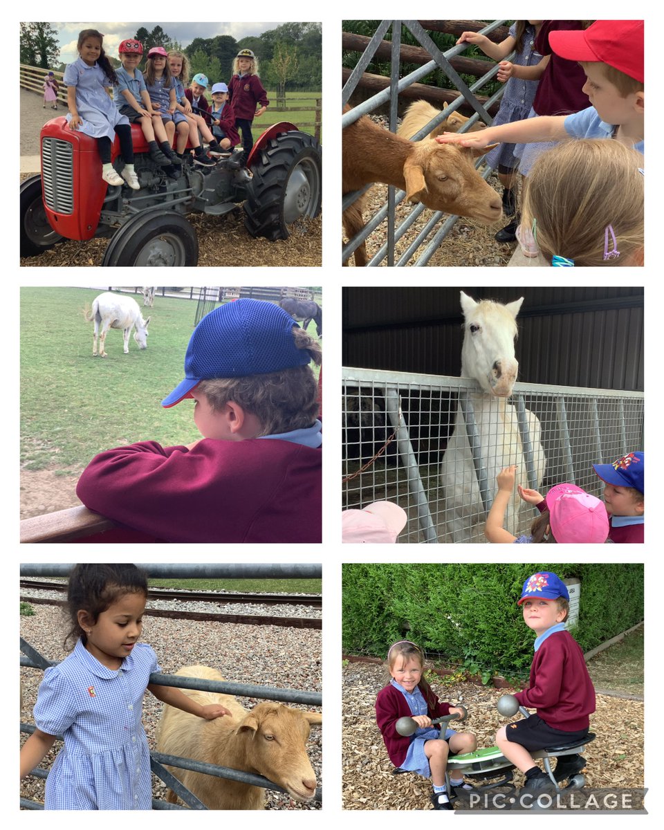 whitchurchprm's tweet image. RCZ had a wonderful time at Cefn Mably Farm Park.  #WPSRec