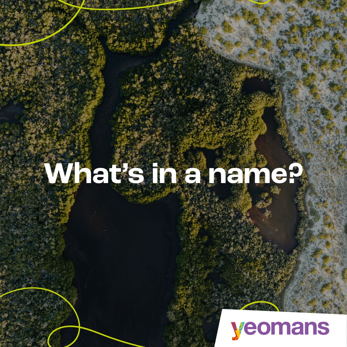 ✨ What's in a name?
At Yeomans, it represents loyalty, valiance, and a commitment to doing things in a workmanlike manner. Our founders had a vision to help charities make a greater difference, and that's what we've been doing ever since. 🤝