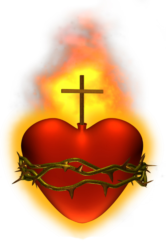 Catholic_Priest's tweet photo. "Love overcomes, love delights, those who love the Sacred Heart rejoice." - #SaintBernadetteSoubirous
Today (June 30) is the Feast of the First Martyrs of the See of Rome. #FirstMartyrsofRome
📷 Sacred Heart / © LindaMarieB / #GettyImages. #Catholic_Priest #CatholicPriestMedia https://t.co/hJ3g6Mi5QW