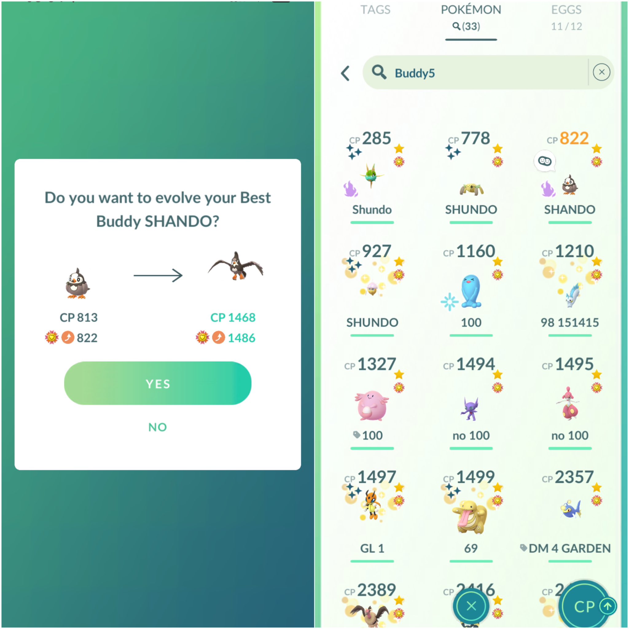 Pokemaster Marcello on Twitter "How many best buddy Pokemon do you