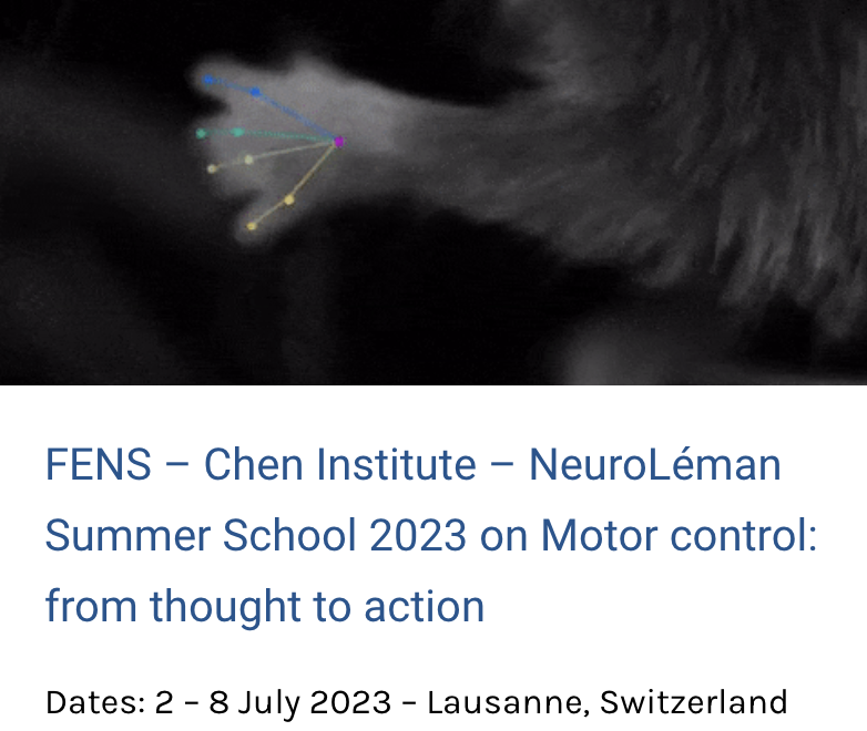 Synapsy Centre UNIGE (@synapsy_unige) on Twitter photo The 1st FENS – Chen Institute – NeuroLéman Summer School “Motor control: from thought to action” will take place 2-8 July at <a href="/EPFL/">EPFL</a> <a href="/Synapsy_EPFL/">Synapsy Center EPFL</a> & focus on integrating technology in fundamental and clinical neuroscience. Future editions will be at UNIL ('24) and <a href="/unige_en/">UNIGE_en</a> ('25) The 1st FENS – Chen Institute – NeuroLéman Summer School “Motor control: from thought to action” will take place 2-8 July at <a href="/EPFL/">EPFL</a> <a href="/Synapsy_EPFL/">Synapsy Center EPFL</a> & focus on integrating technology in fundamental and clinical neuroscience. Future editions will be at UNIL ('24) and <a href="/unige_en/">UNIGE_en</a> ('25)