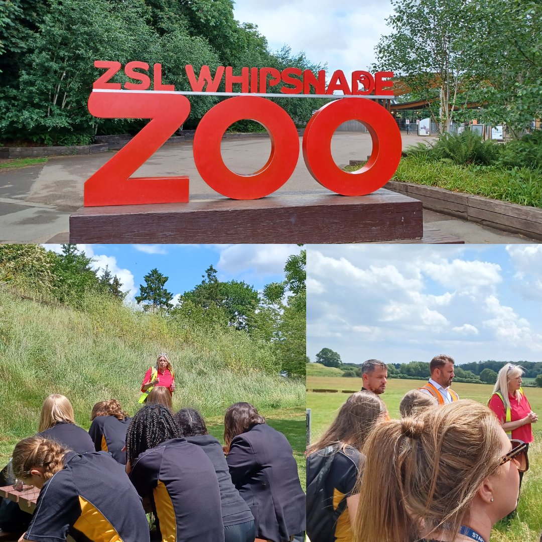 Thank you @BorrasConstruct, for hosting a business experience as part of #TheInspirationProgramme  for @cottesloeschool  @ZSLWhipsnadeZoo was a great venue!

#TheInspirationProgramme #YoungPeople #InspiringYoungPeople #Careers #Charity
 #Education #Builders #Construction