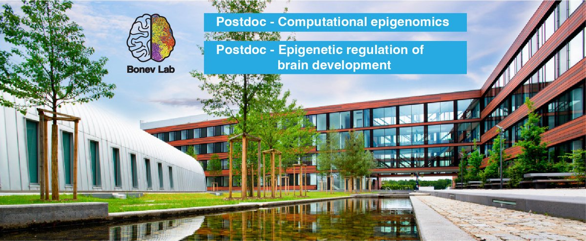 Two @ERC_Research funded #postdoc positions available @Bonev_Lab to study brain development, evolution and disease using multimodal single-cell epigenomics (computational and experimental). Join us @PioneerCampus in the vibrant city of Munich bonevlab.com/join