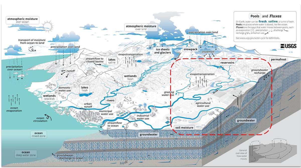 Jacopo Dari tweet media