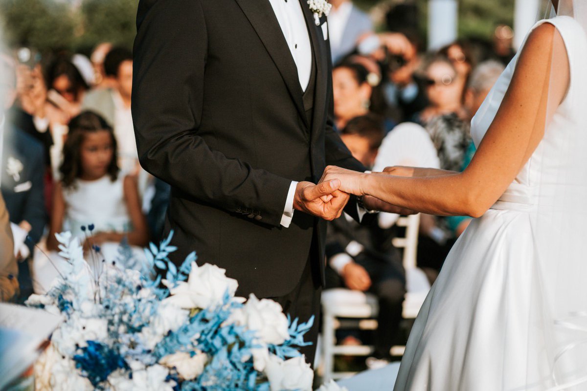 Decibel Bellini tweet media