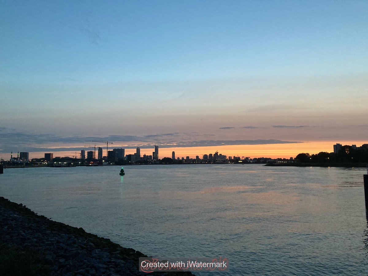 Boswachters010's tweet photo. Gisteravond surveillance gedaan op het #Eiland van #Brienenoord  vanwege dat je hier na #zonsondergang niet meer mag komen. Diverse mensen hierover informatief gesproken en het gebied uitgestuurd. #natuur #Rotterdam #Nieuwe #Maas https://t.co/bezOu8GM1q