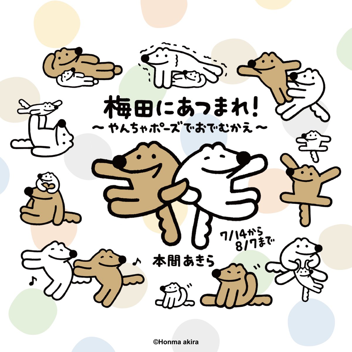 fewmany_event's tweet photo. 【梅田にあつまれ！〜やんちゃポーズでおでむかえ〜】

イラストレーター #本間あきら さんによる人気キャラクター「 #やさしいおおかみウルフくん」の期間限定POP UP SHOPの商品を公開✨

やんちゃなポーズのオリジナル商品や
ぬいぐるみも登場！🧸

イベント詳細はこちら↓
https://t.co/6jpd3rqJUa https://t.co/hNAfRbtDmb