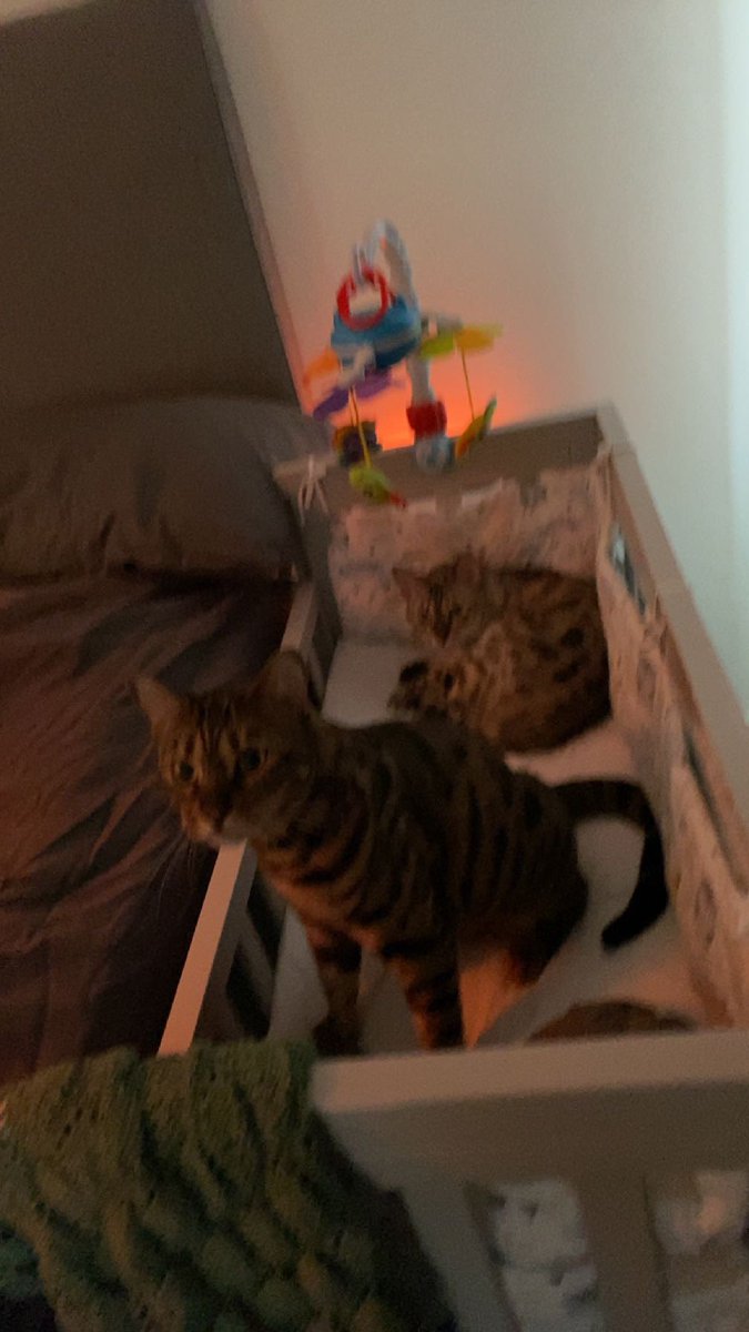 Jessica Lindén tweet media