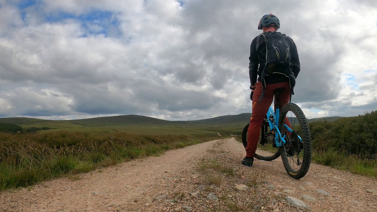 Arc Guiding tweet media