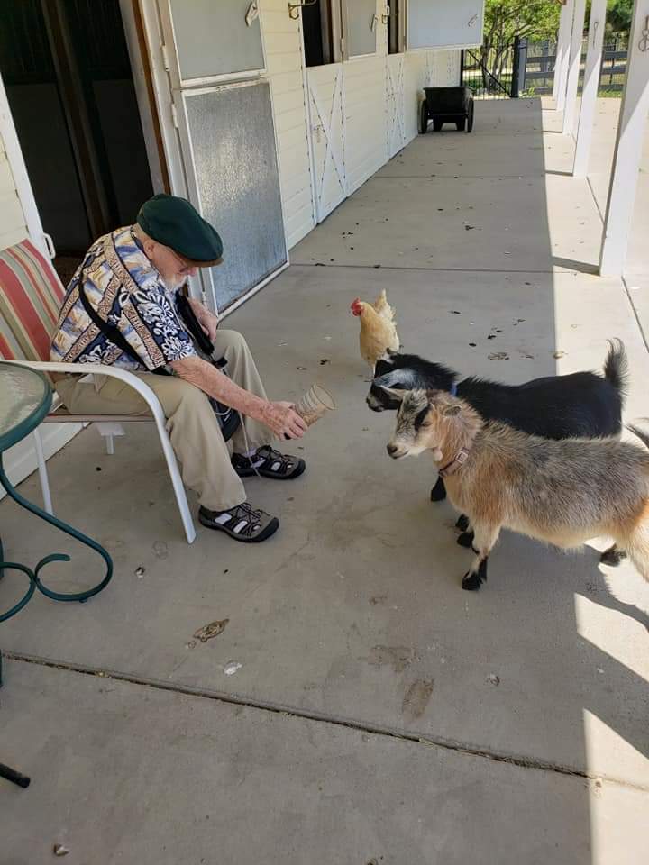 Charles Hoskinson tweet media