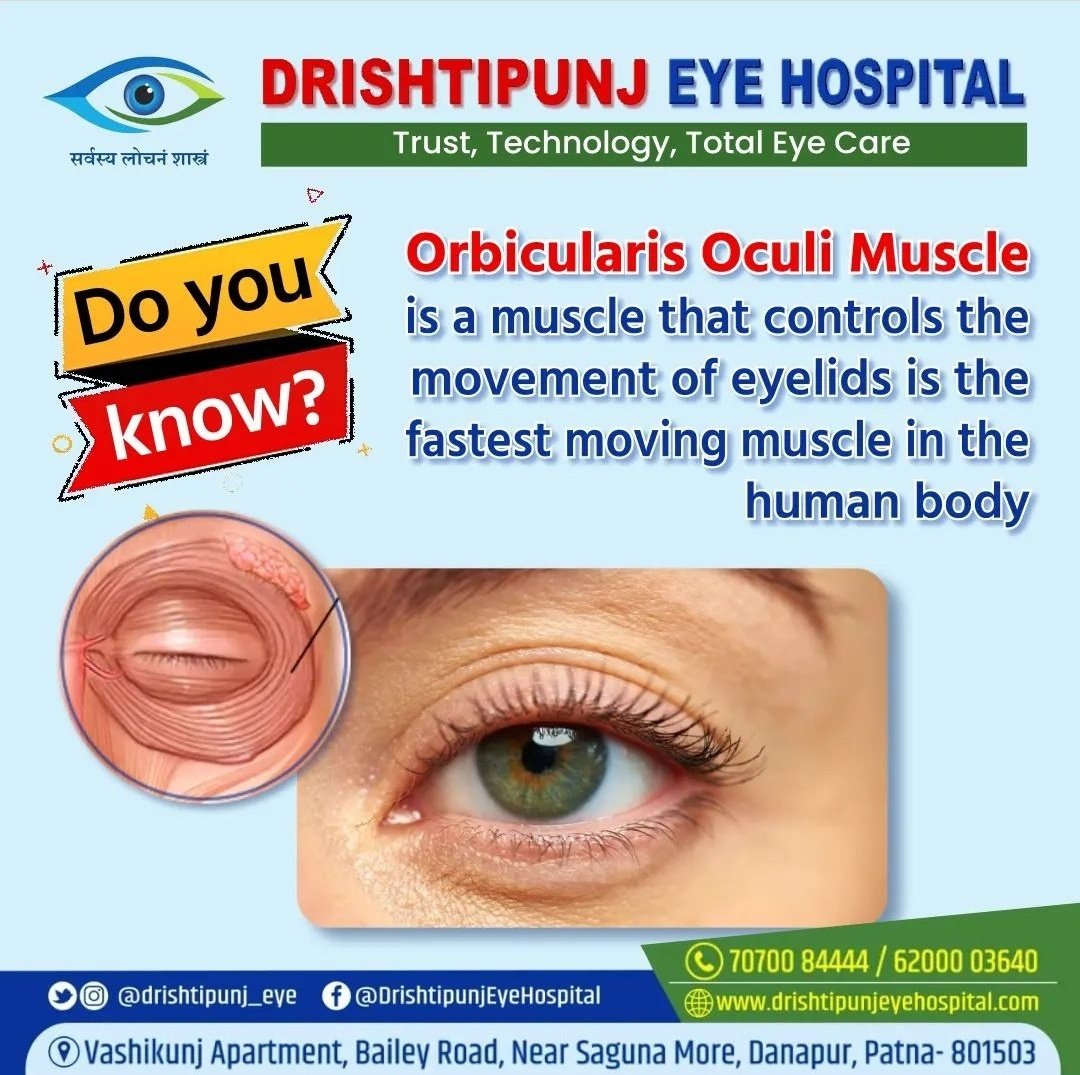 #DoYouKnow: Orbicularis Oculi Muscle is a muscle that controls the movement of eyelids is the fastest moving muscle in the human body.

#EyeFacts #EyeHealth #DrishtipunjEyeHospital
#Bihar #बिहार