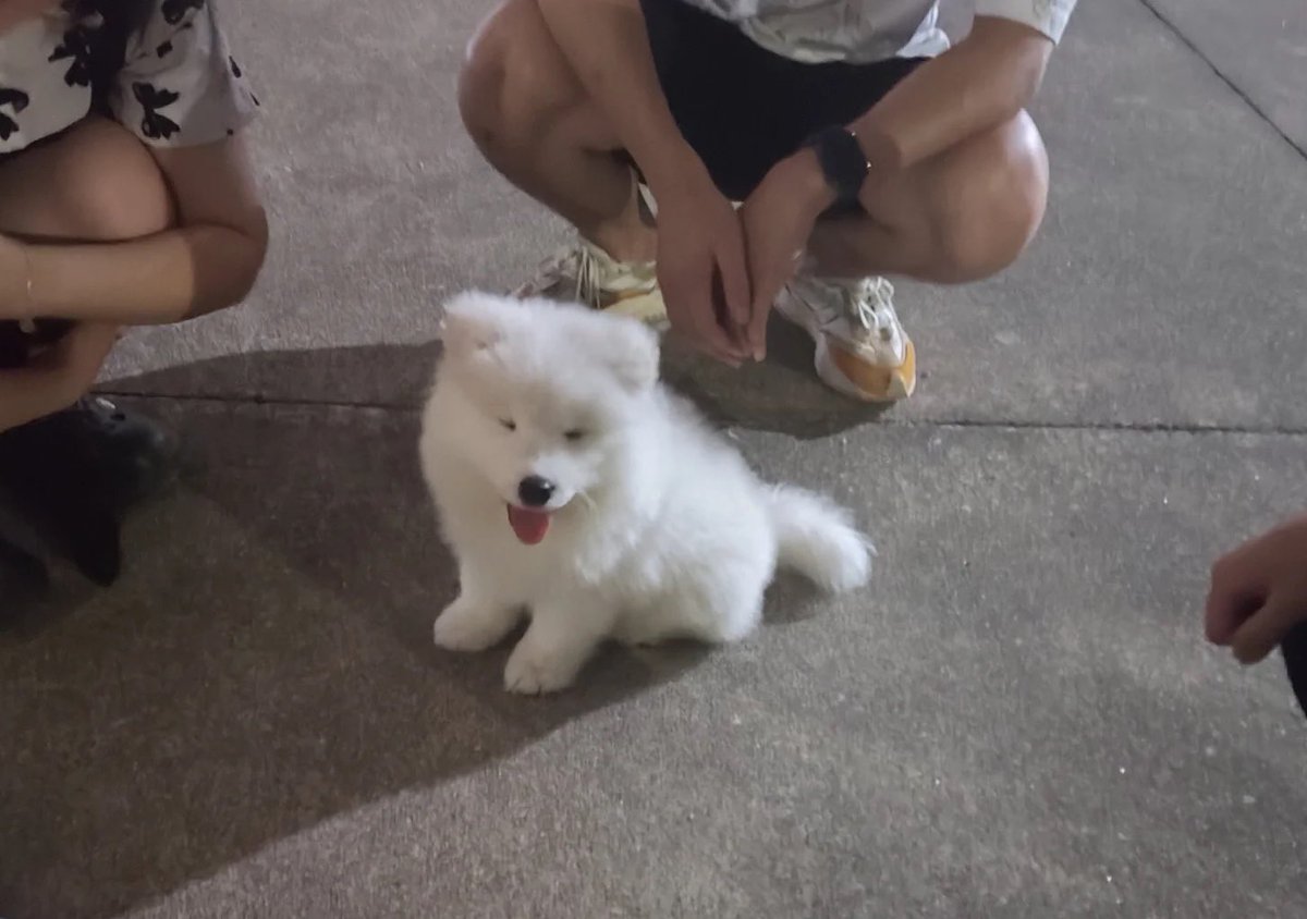 dogonboo's tweet photo. เอาล่ะ ทำตายิ้มแบบนี้นะพวกเอ้ง https://t.co/yhuUTzEE0q