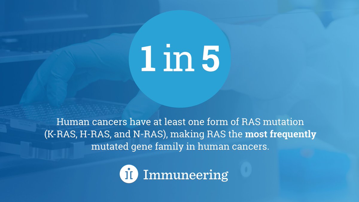 Immuneering's tweet photo. More than half of all tumors rely on inappropriate activation of the RAS/RAF/MEK pathway, yet existing drugs targeting this pathway remain limited. Learn how we are leveraging deep cyclic inhibition to target tumors with #RASMutations and beyond: https://t.co/e0c5ISFwwg https://t.co/eV2wRUNXE1