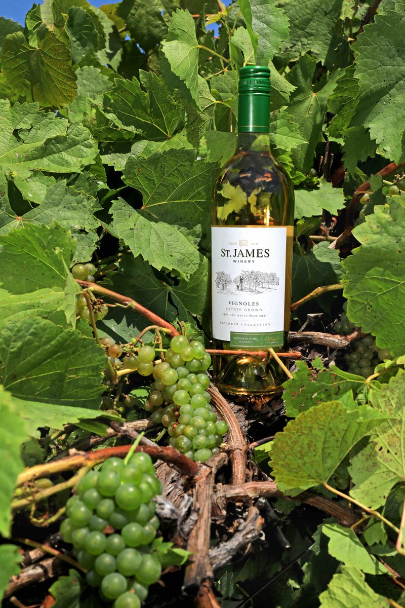 Have you tried our new Estate Grown Vignoles? We’re proud to have worked so hard to bottle the essence of Missouri’s Ozark Highland region!