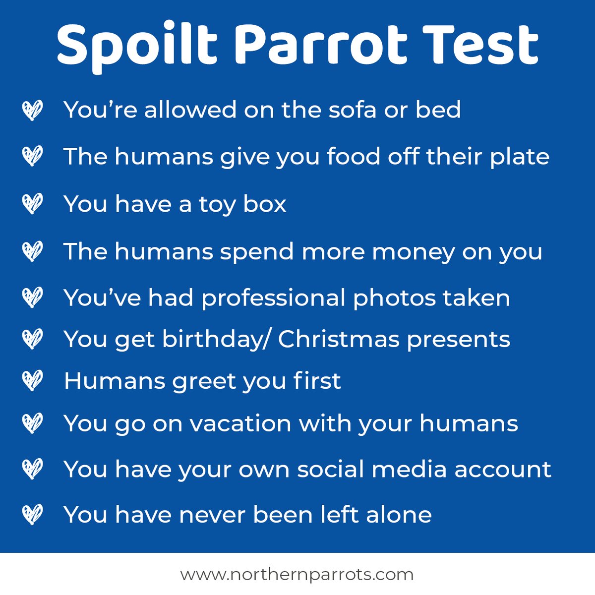 1 point for every comment that relates to your Parrot, let us know your score. #fridayfun #fridayfunday