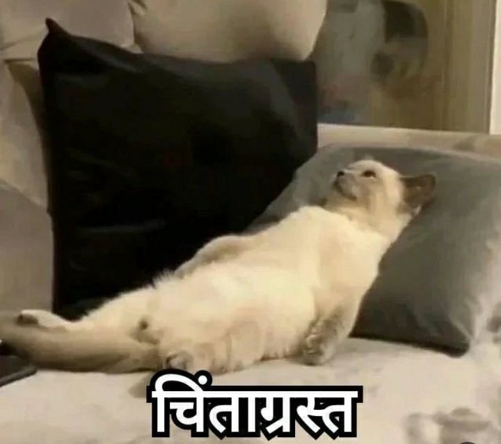 whereischaii's tweet photo. What other Hindi words you know for stress/tension/pain/problem/ https://t.co/p1kM4hDaqr