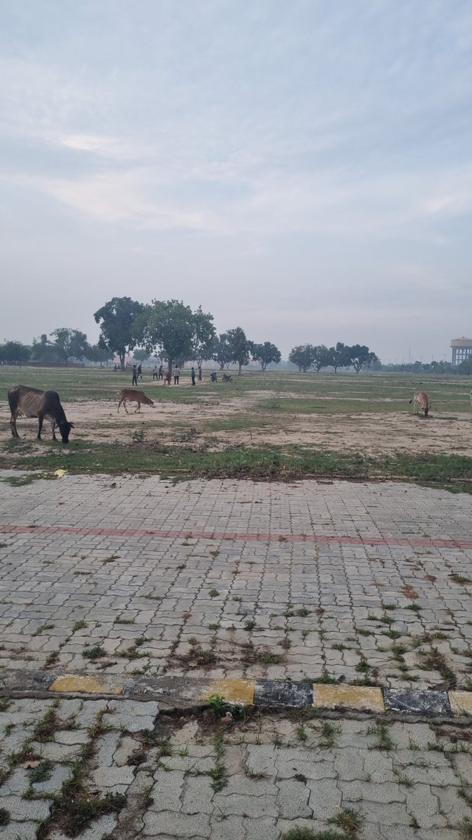 sachinrock02's tweet photo. दिन-ब-दिन गांव को निगलते हुए शहर
निगल जाते हैं और भी बहुत कुछ
लहलहाते खेत,हरे भरे पेड़, पोखर और तालाब
ये सबकुछ पाटकर बन जाते राजमार्ग...
जिनपर सनसनाती गाड़ियों के आगे
नहीं सुनाई देती गरीबी की चीखें
वह भी रुख़ करती है शहर की ओर ... https://t.co/HlTBUfgwT0