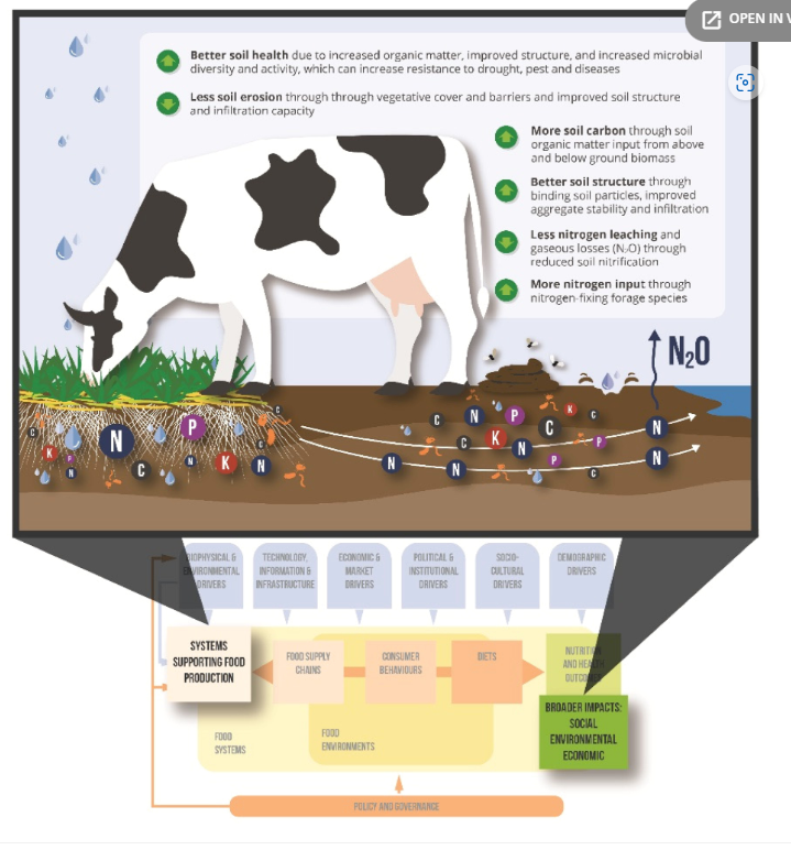 Birthe Paul tweet media