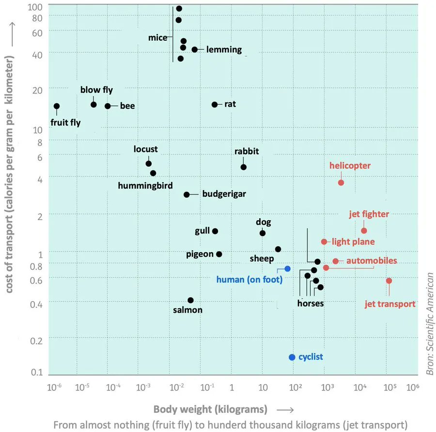 This chart is internet-famous since Steve Jobs allegedly looooooved it. It shows how much energy (measured in calories) is needed to move objects by weight. A human on a bicycle is outrageously energy efficient. Cycling is the king of transportation!