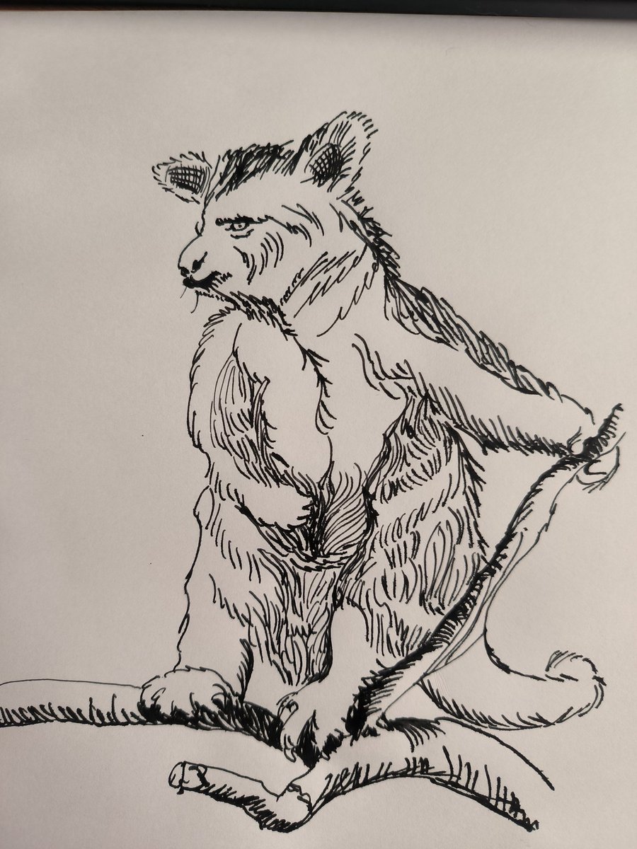 kobra_bobra's tweet photo. Древесный кенгуру
#picturebooks #PortfolioDay #traditionalart #drawingoftheday #drawing #animaldraw https://t.co/Q1eBR0IR1d