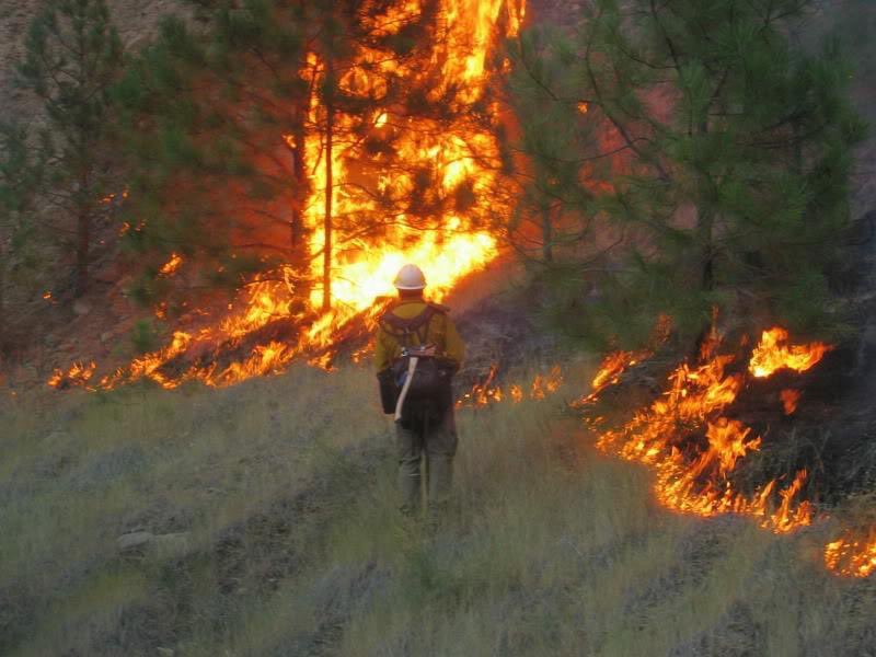 GuyMqt's tweet photo. If wildland fire smoke is horrible, and you can’t endure it, why did you think it was ok to pay us $12/hr with no health insurance to live and work in it?
If it is this horrible, show support for #timsact for those who work 112 hour weeks and sleep and eat in it every summer. https://t.co/pKqbfrRp7X