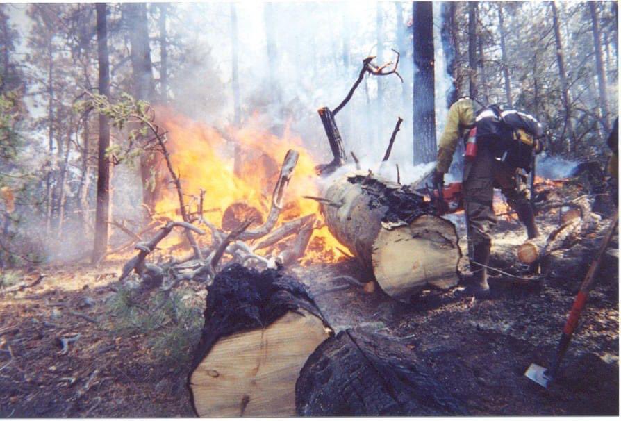 GuyMqt's tweet photo. If wildland fire smoke is horrible, and you can’t endure it, why did you think it was ok to pay us $12/hr with no health insurance to live and work in it?
If it is this horrible, show support for #timsact for those who work 112 hour weeks and sleep and eat in it every summer. https://t.co/pKqbfrRp7X