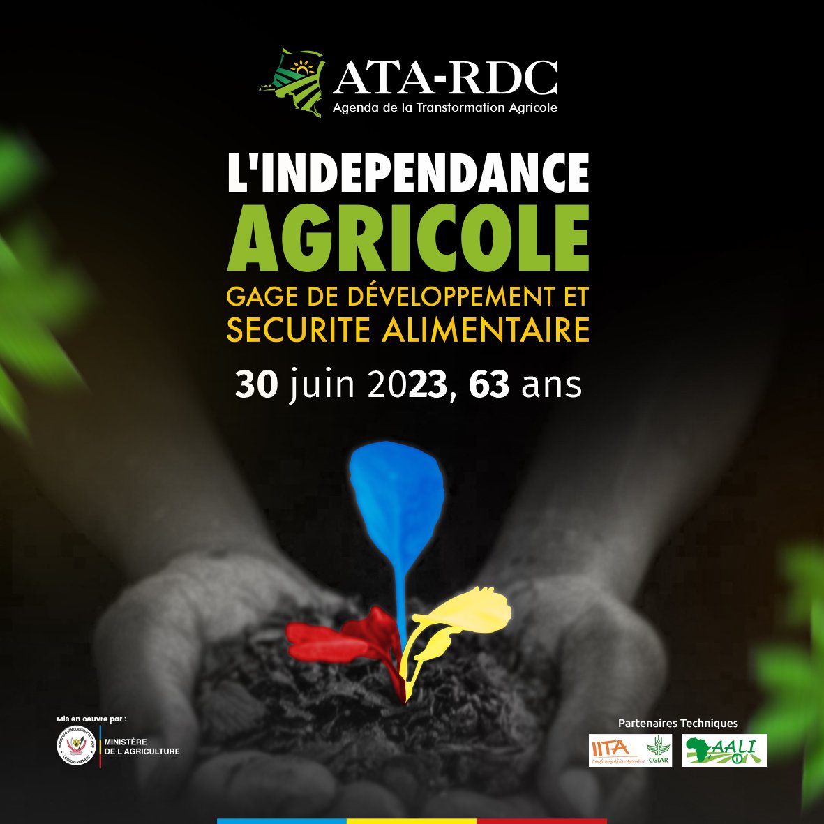 RibaIsabelle's tweet photo. Bonne fête de l'indépendance https://t.co/poJO0giblV