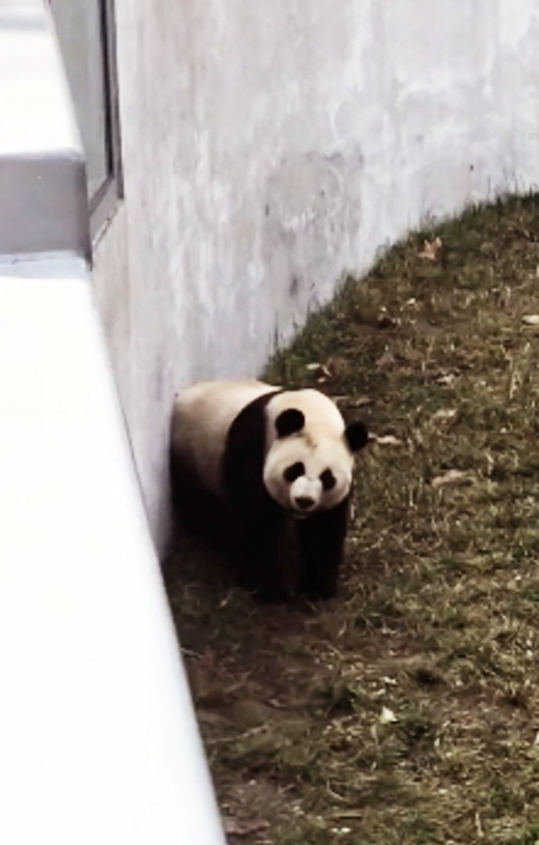 "Will you come visit me if I'm only 10 hours away?"