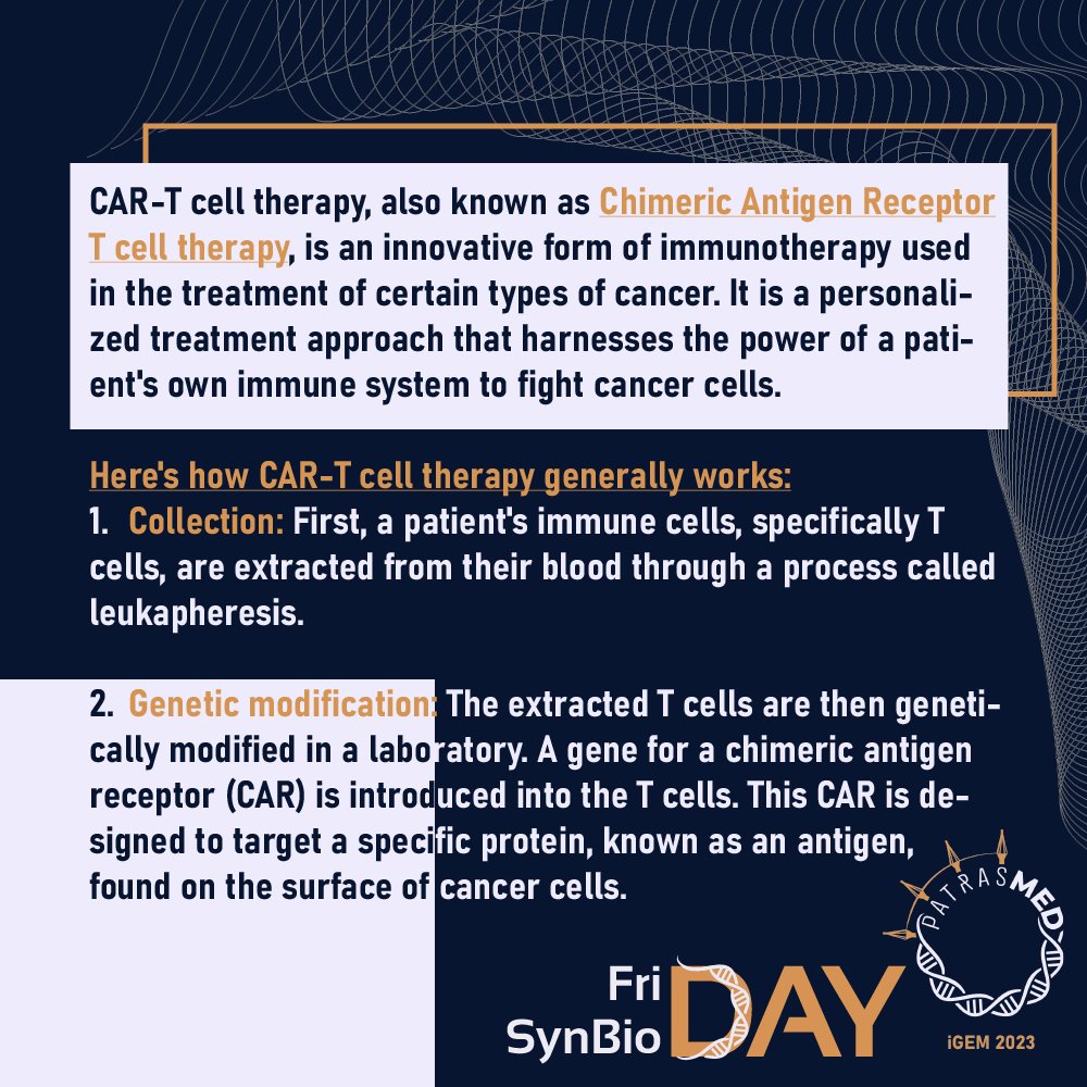 Patras Medicine iGEM 2024 tweet media