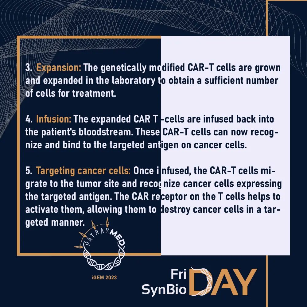 Patras Medicine iGEM 2024 tweet media