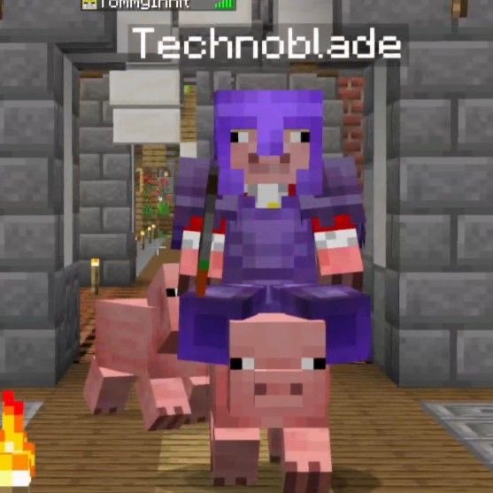 LinabuttflyLive's tweet photo. I remember when I saw Technoblade had posted a new video so I watch the video I heard the phrase“If your watching this I am dead”I started crying and watched the rest in tears no one will every replace him so here’s to a year we miss you Techno 

“lost but never forgotten”🐷👑 https://t.co/Mdy2tsZpcY