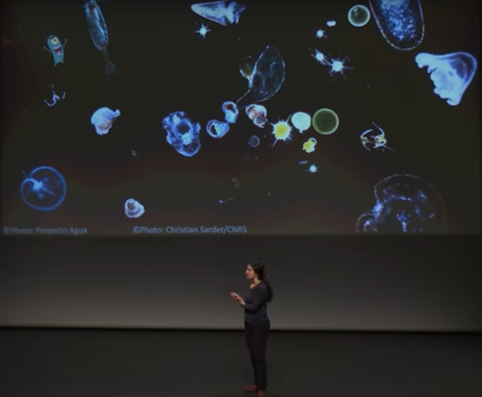 InstitutOcean's tweet photo. Sakina-Diorothée Ayata du @locean_ipsl 
parle du plancton marin dans les échappées inattendues. Tout savoir (ou presque) en 9 minutes chrono.
⏱️ https://t.co/ozPdeO5zQb https://t.co/7S1rvuR5Vm
