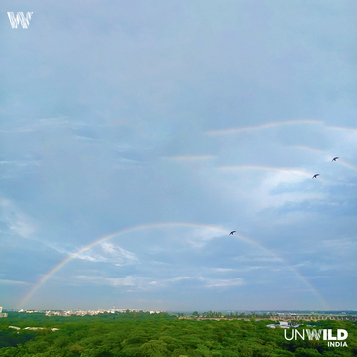 UnWildIndia's tweet photo. #amazing #nature #today #TrendingNow 
#rainbow #delhi #dwarka https://t.co/Vz8kTWo5N2