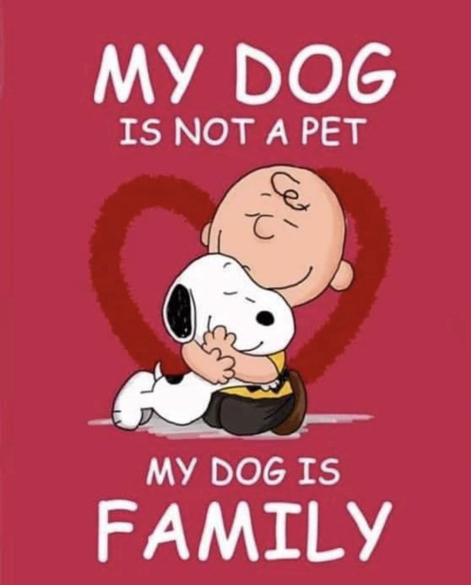 I love my dogs ❤️ #dogs #dogsoftwitter