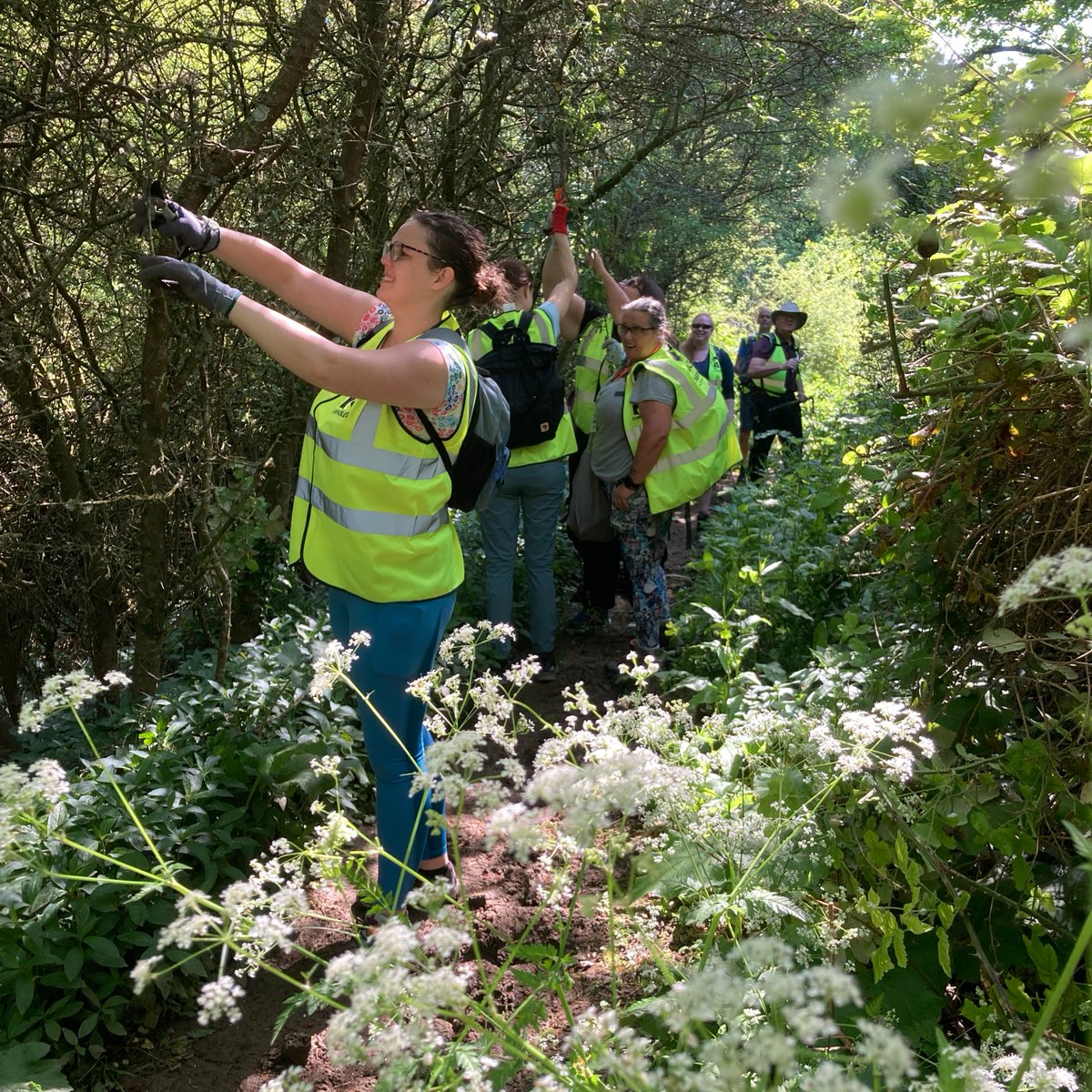 RamblersGB's tweet image. We had a fantastic team volunteering day with our friends @CotswoldOutdoor! 🥾💚 🛠️ 

The Cotswold Outdoor team joined members of the Northwest Wiltshire Path Maintenance team to clear a section of the #WhiteWallsWay near their Head Office in #Malmesbury 😍🙌

#FootpathFriday