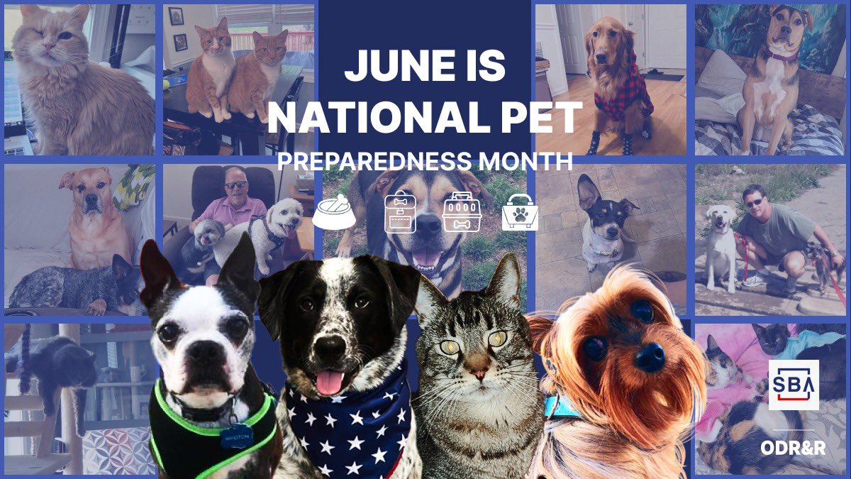 📢 It's the last day of #PetPreparednessMonth! Ensure your furry friends are ready for emergencies by including crucial info, necessary items, and an @SBAgov plan in their #ToGoBag. 🐾🎒 #BePrepared