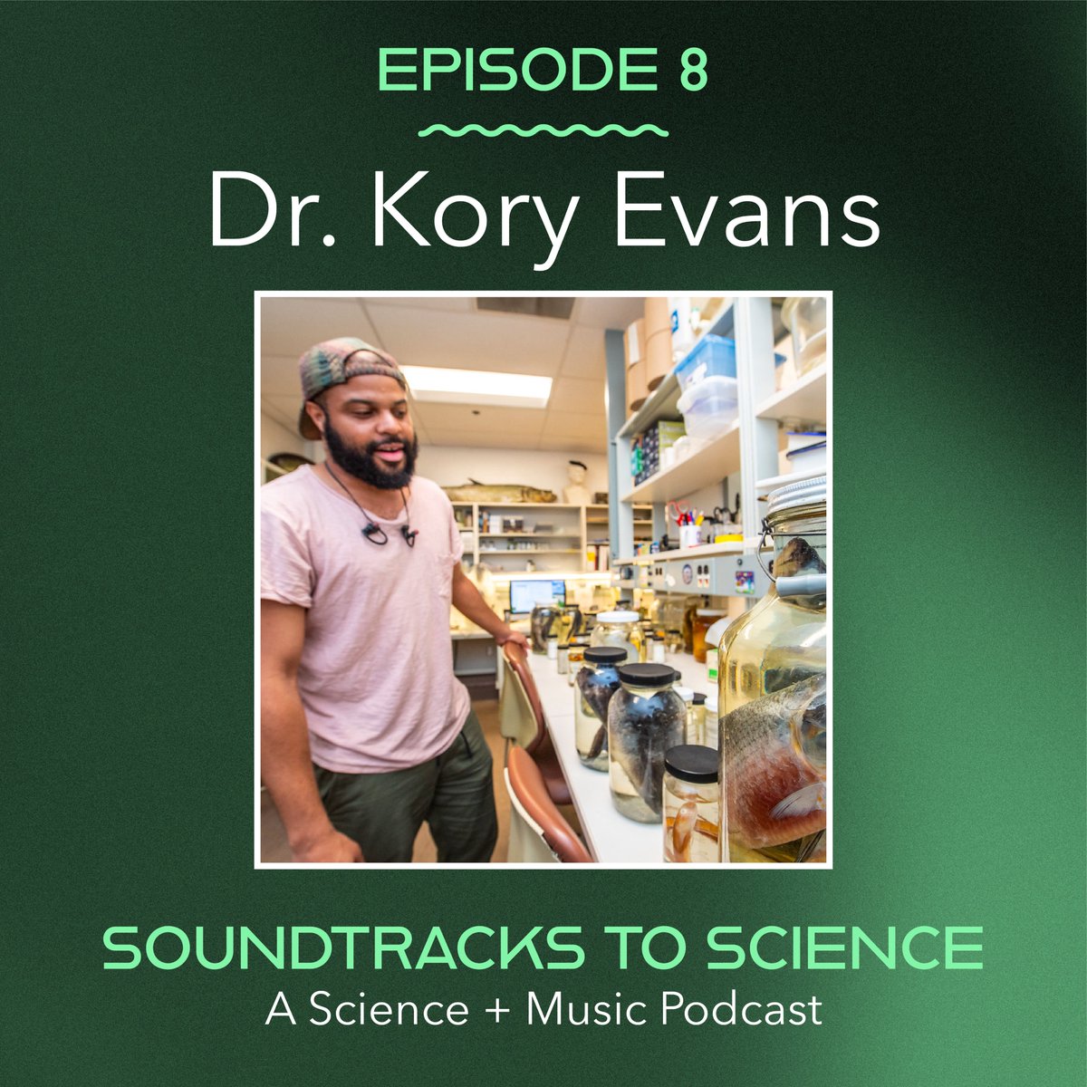 soundtracks2sci's tweet image. Episode 8: Welcome @Sternarchella! We chat with Kory about his research on the evolution of phenotypic diversity, crazy fish skulls, conducting field work all over the world, and how rap + Seinfeld = true art! 🐟🎶💀 
soundtrackstoscience.buzzsprout.com/share