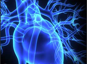 Capricor's tweet image. Capricor announces positive 24-month results from ongoing HOPE-2 open label extension study of CAP-1002 in Duchenne muscular dystrophy. Click here to view the press release bit.ly/44macre
#PPMDconference #DMD #CAP1002 $CAPR