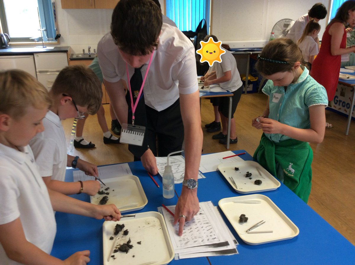 DecoyPri's tweet photo. This week, pupils from Yr 3 &amp; 4 have had the chance to work with Mrs. Thompson, supported by sixth formers. Their focus was food chains and energy in our food, they dissected pellets to identify animal bones and burnt crisps to work out the energy they contained.@TorquayBoysGS https://t.co/ktxP8qulCo