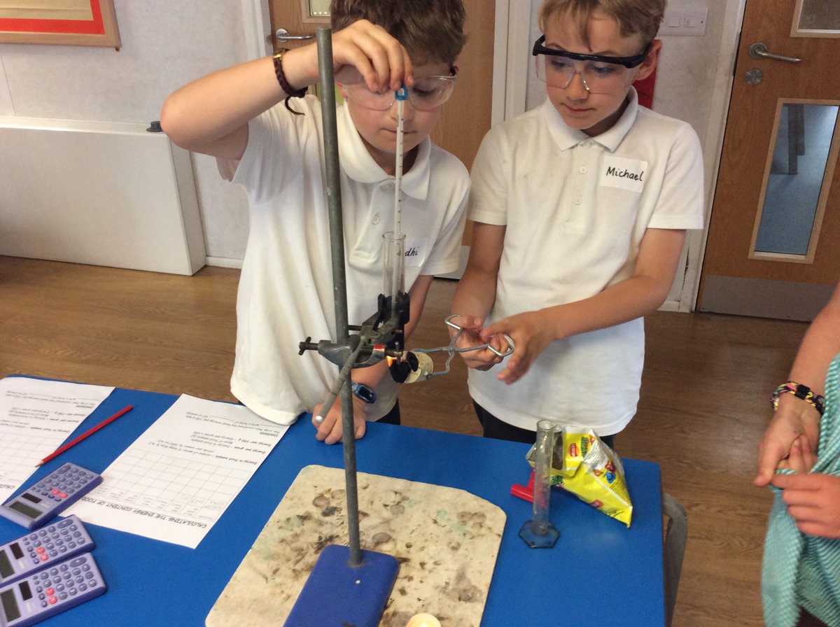 DecoyPri's tweet photo. This week, pupils from Yr 3 &amp; 4 have had the chance to work with Mrs. Thompson, supported by sixth formers. Their focus was food chains and energy in our food, they dissected pellets to identify animal bones and burnt crisps to work out the energy they contained.@TorquayBoysGS https://t.co/ktxP8qulCo