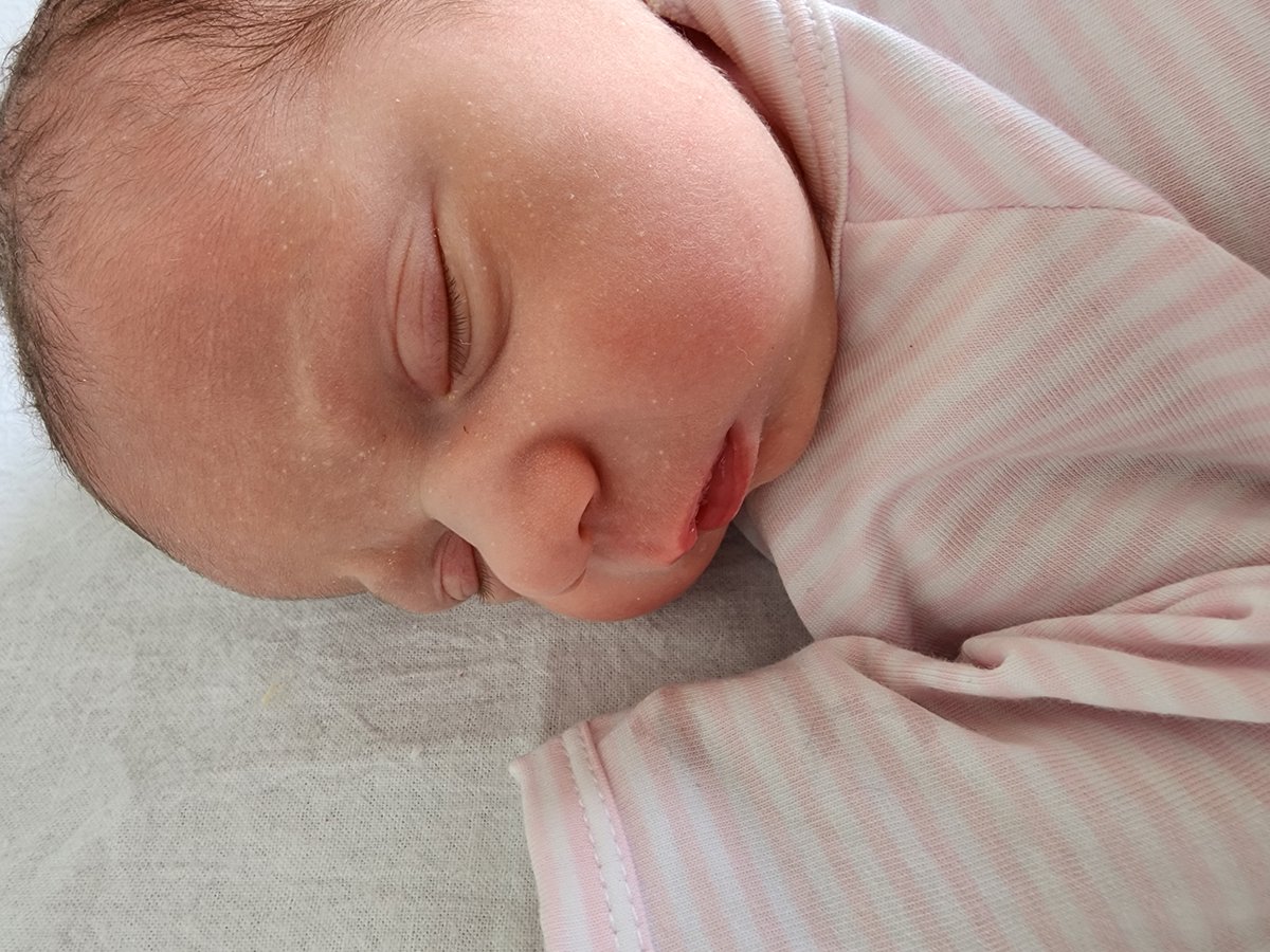 Stu Turton tweet media