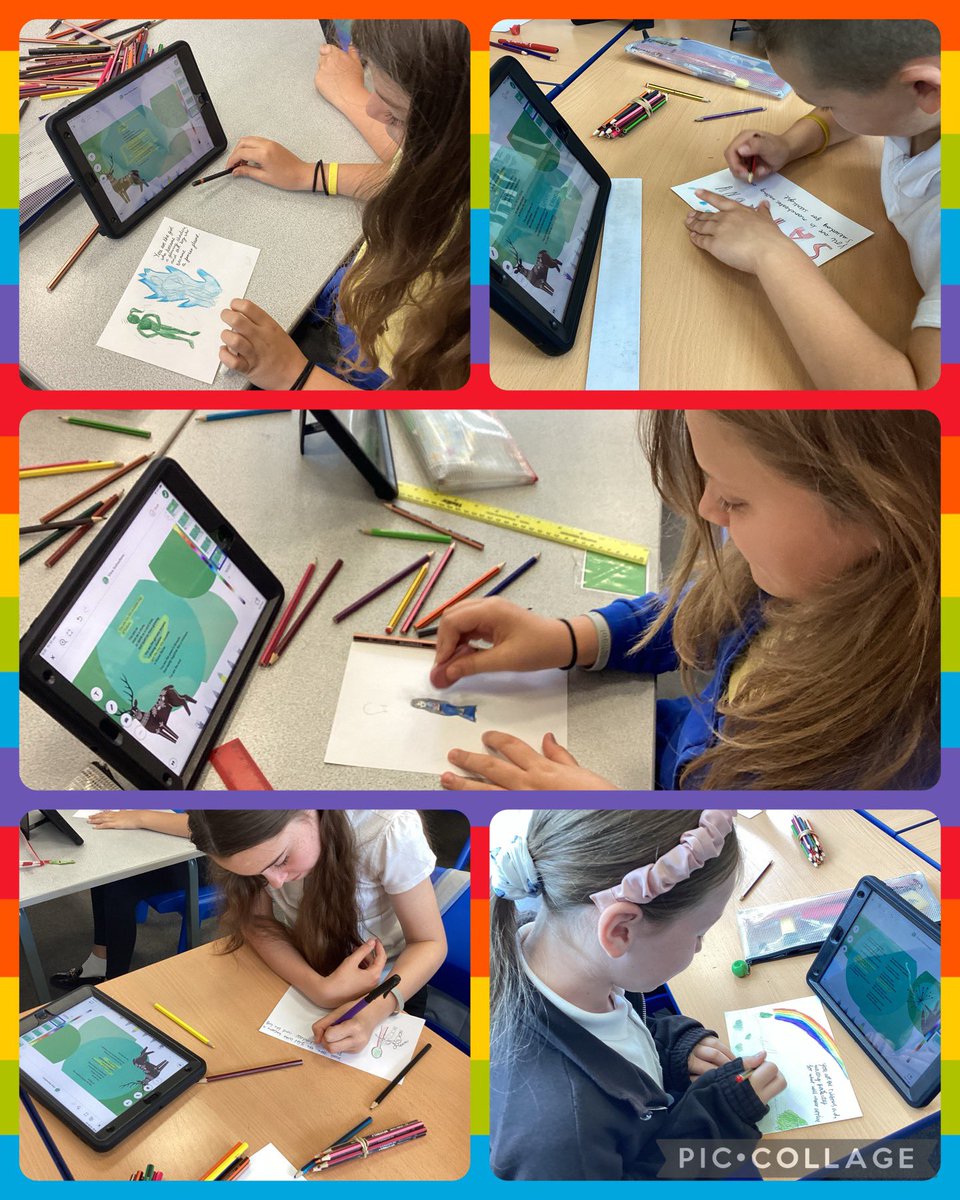 Catcliffe Primary tweet media